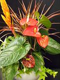 DSCF3808.JPG