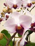 DSCF8369.JPG