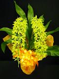 DSCF3889.JPG