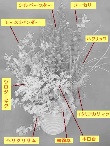 DSCF7228 .jpg