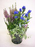 DSCF9845.JPG