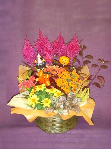 DSCF8078.JPG