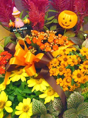 DSCF8085.JPG