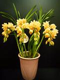 DSCF9203.JPG