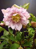 DSCF9401.JPG