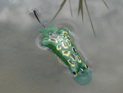 ﾙｰﾆｰちゃん001