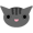 icon-cat-00206.gif