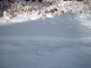 雪の地面