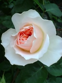 2005-05-05 21:19:12
