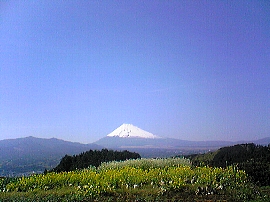 富士山を三島市見晴台から望む