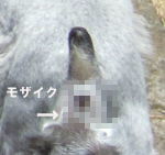 91
