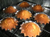 マドレーヌ2005.03