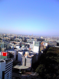 テレビ塔から見た北側の風景