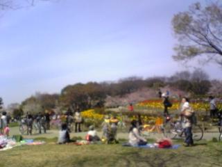 総合公園でお花見会２