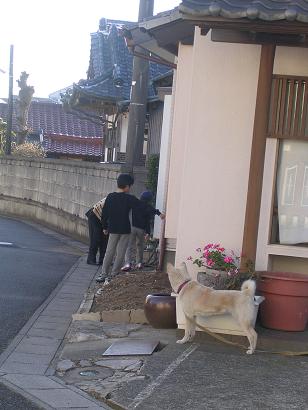 2009年正月の風景～お向かいの蕎麦屋さんにて
