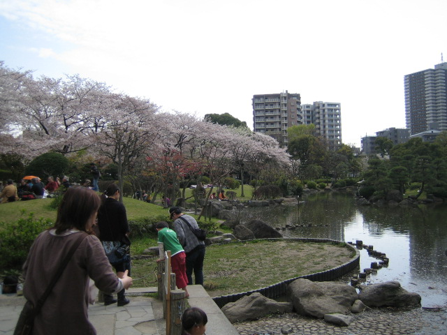 隅田公園花見３