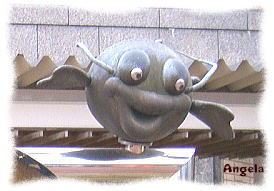 2006.11.11