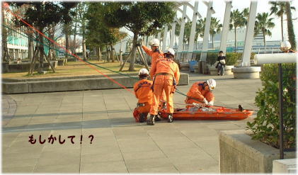 2006.11.28