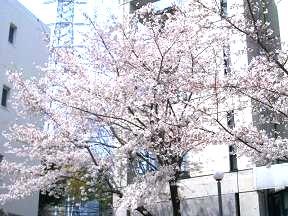 2009-04-03 22:09:43