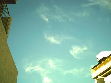 空２.JPG