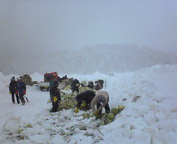 NEC_0377.jpg