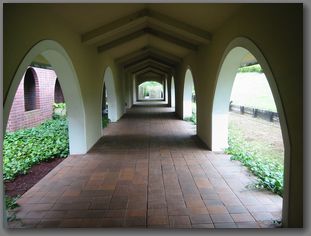 IMG_2069.jpg