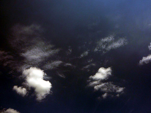 P1020500.jpg