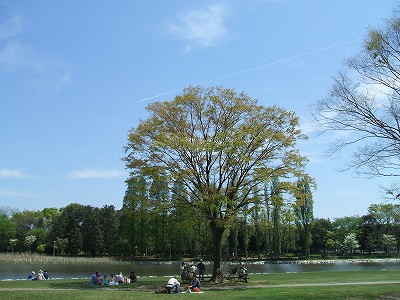 公園