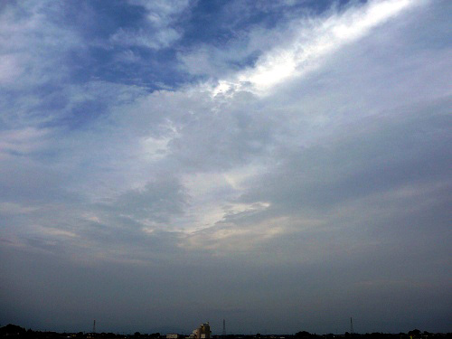 P1010173.jpg