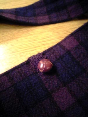 ボタン付けました