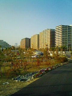 shinura2