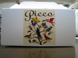 picco1