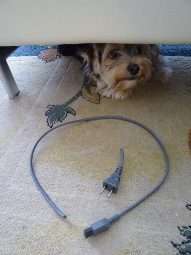 ｺﾝｾﾝﾄとｱｽﾄﾛ