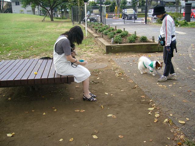 お散歩ですか～？ボクもです！