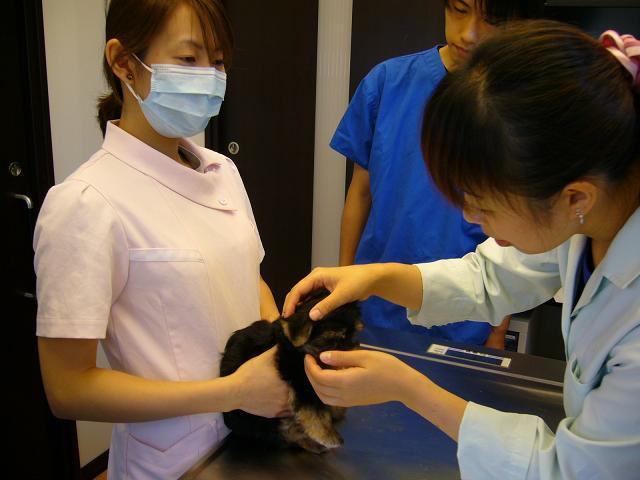 ビクビク･･･