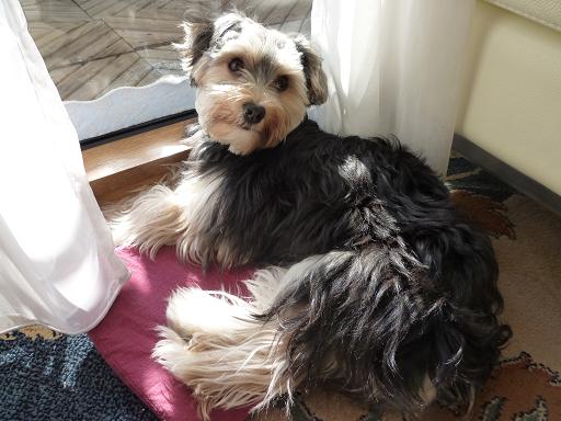 何か問題でも？