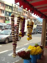 flower stall
