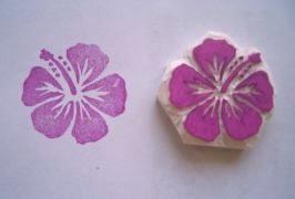 stamp hib