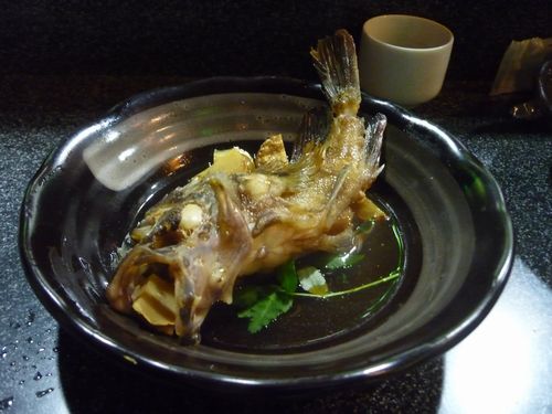 前どれの魚「灘菊」.jpg