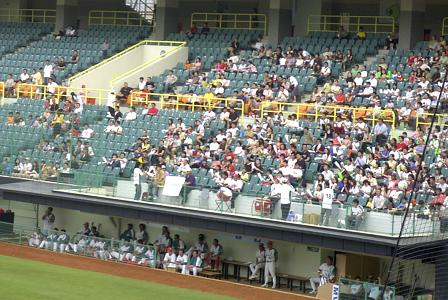 [鯨隊応援スタンド]