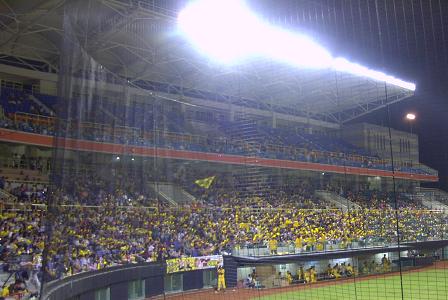 [スタンド照明]