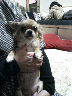 天津くんの彼女＝イヴちゃん＜可愛いぃ♪