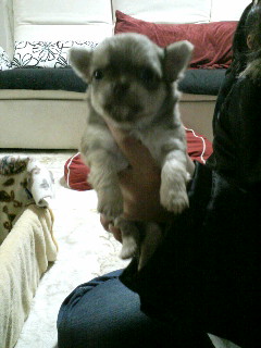 BABY=男の子１匹目