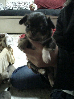 BABY=男の子２匹目