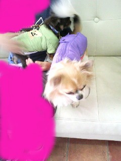 燕龍＆小龍くん