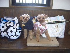 ぼぶくん＆べてぃちゃん