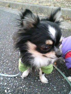 お友達、今日はいないでしゅねっ＞天津