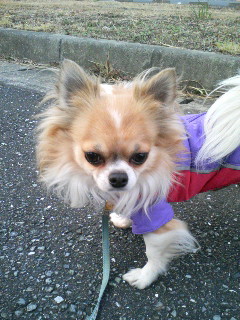 今日はお友達来ないなぁ寒いから？＞小龍