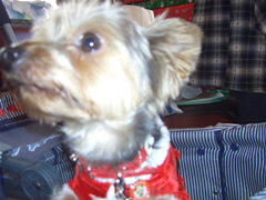 ライトくん…横顔が幼～い♪