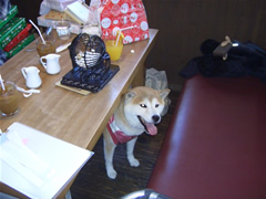 こっそり　りくたん♪